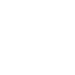 Practical experience